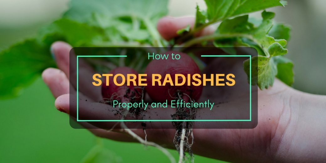 Store-Radishes