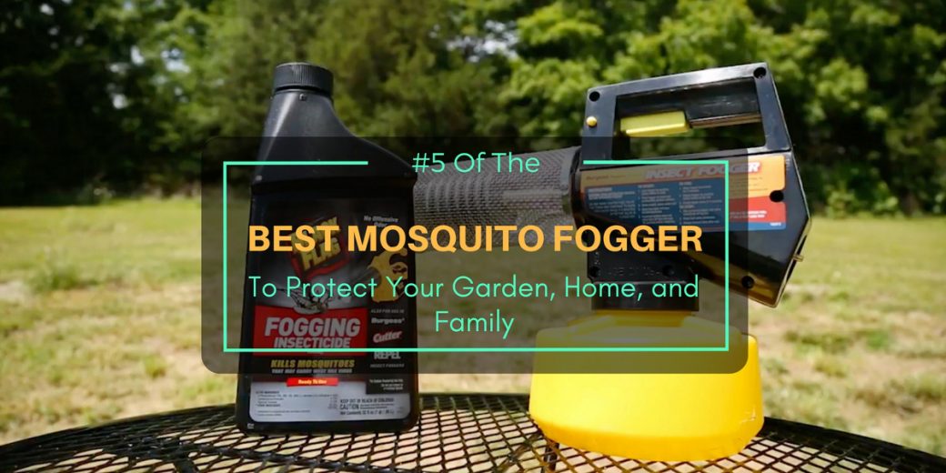 5 Of The Best Mosquito Fogger To Protect Your Garden, Home, and Family