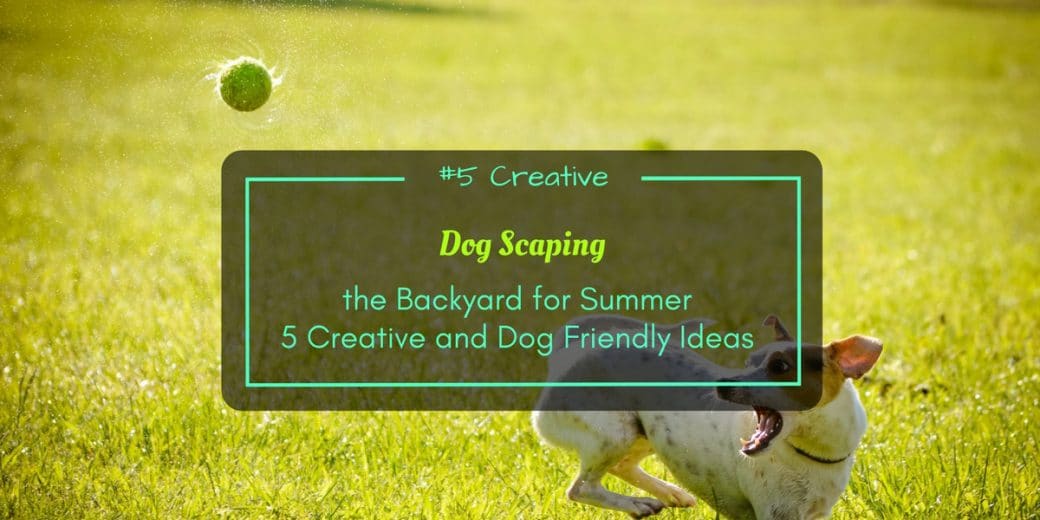 Dog-scaping