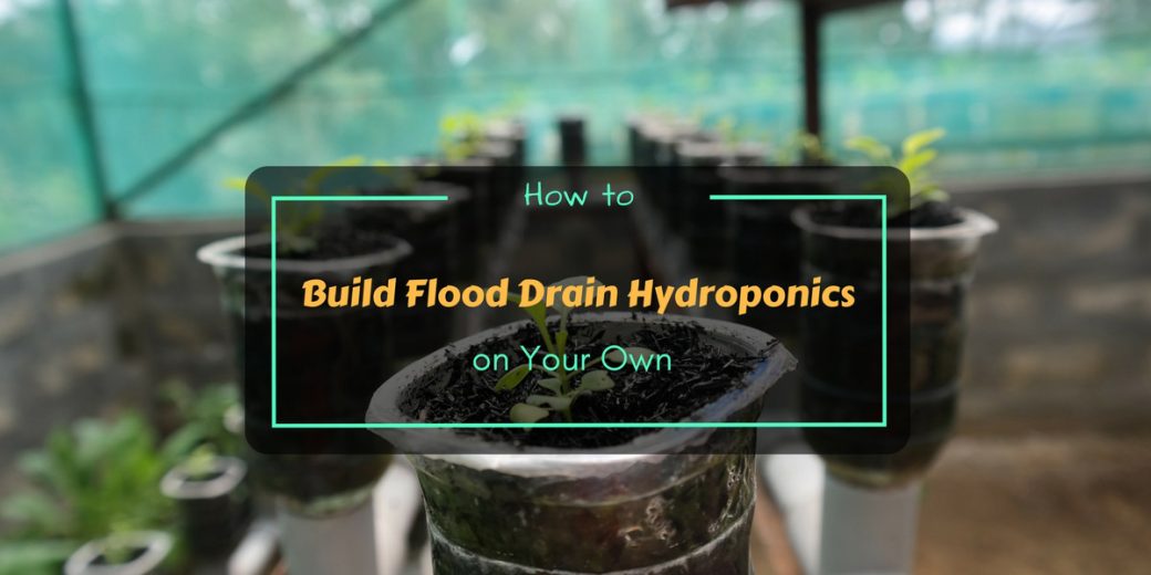 Drain-Hydroponics