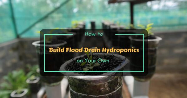 How to Build Flood Drain Hydroponics