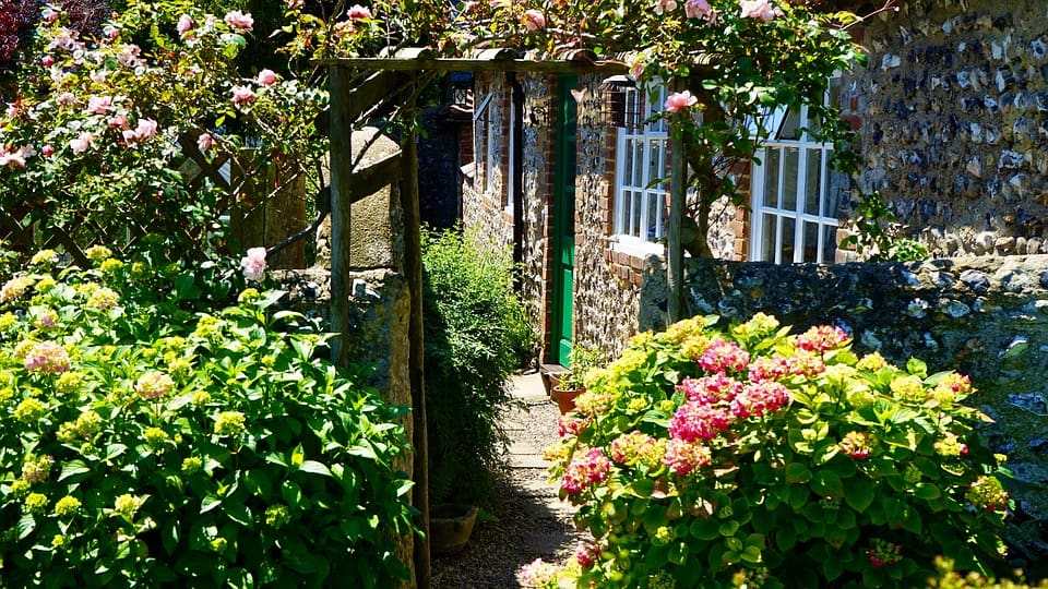 Green Path Outdoor Summer Garden Gardening Flower