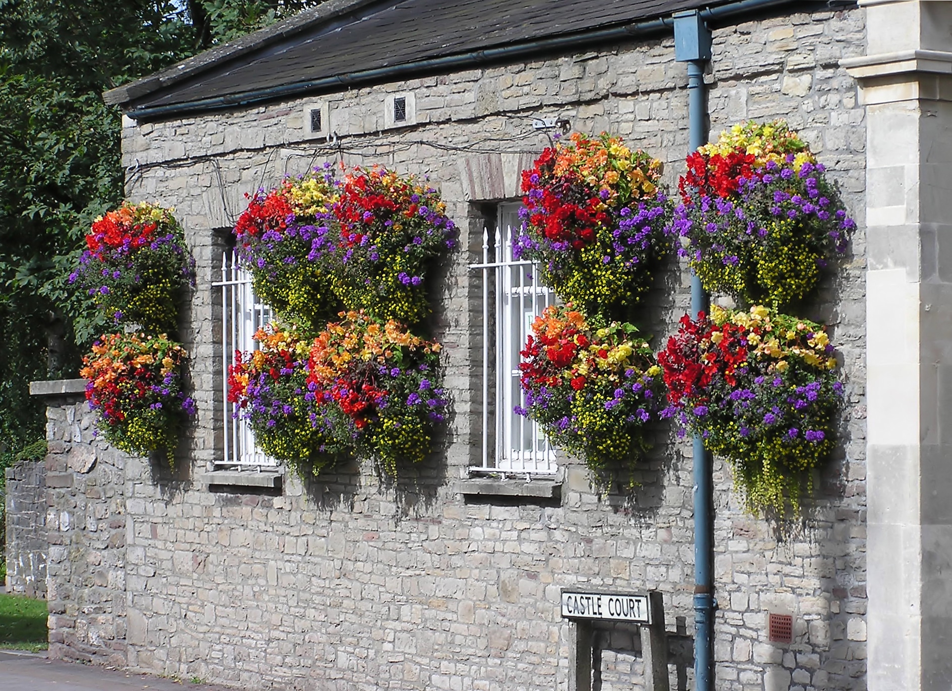 Hang Plants in Baskets