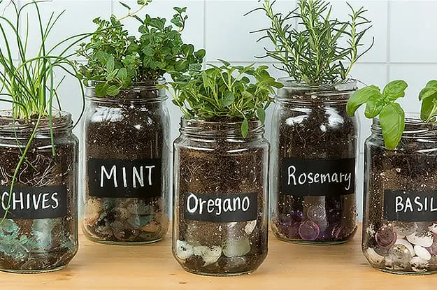 Herbs in Mason Jars - Smart Small Garden Ideas