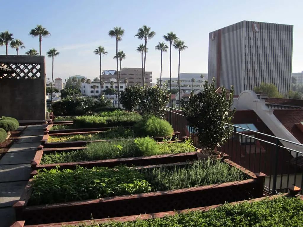 Rooftop Gardening - Smart Small Garden Ideas