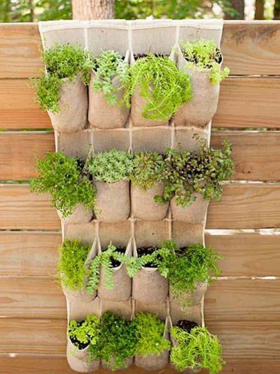 Plants in Pockets - Smart Small Garden Ideas
