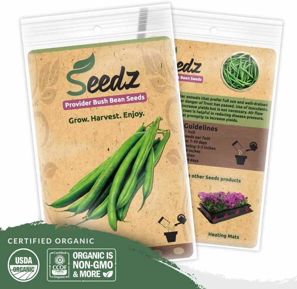 Organic Green Bean Seeds, APPR. 125, Green Bean
