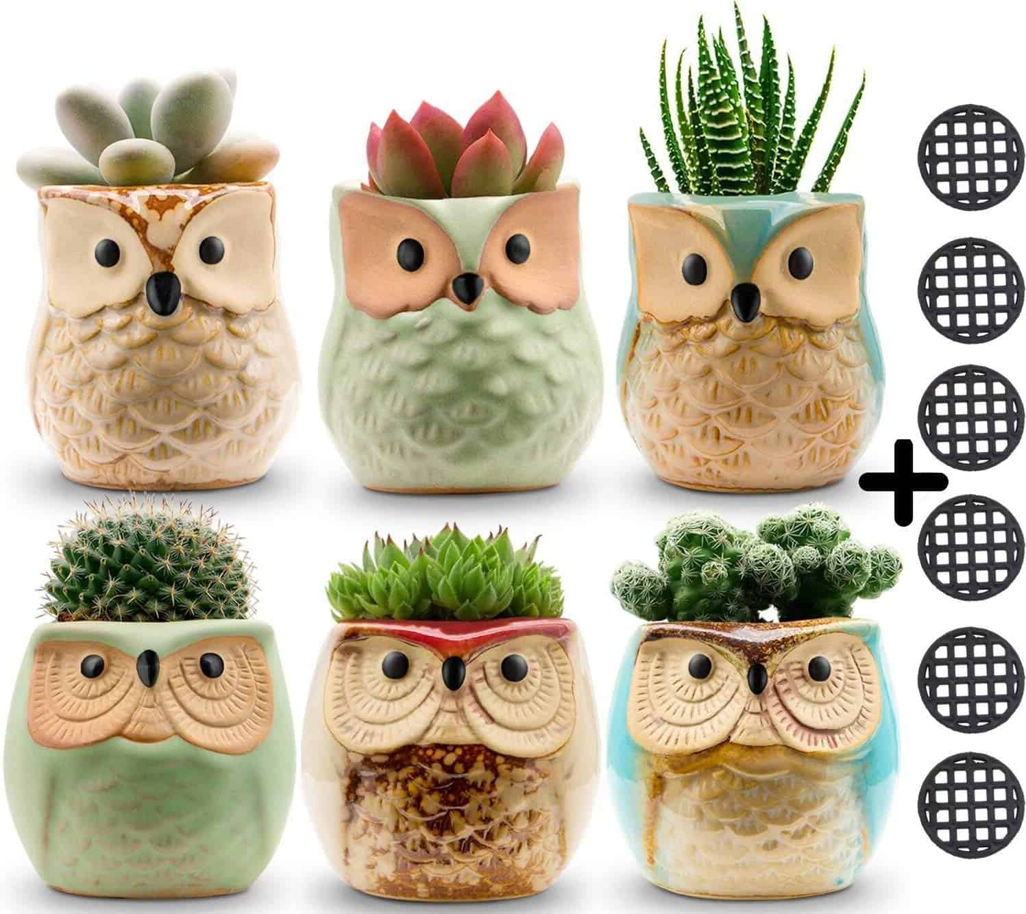 Jomass Owl Pots 2.5 Inch Flowing Glaze Succulent Pots
