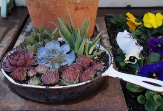 Low-Budget DIY Garden Pots