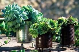 Cans - Low-Budget DIY Garden Pots
