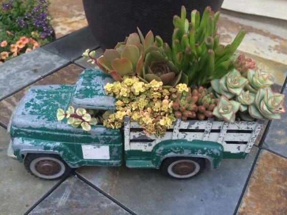 Toys - Low-Budget DIY Garden Pots