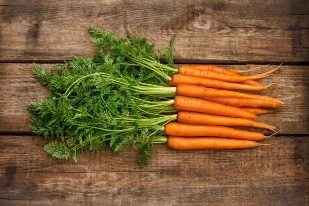 Top 7 Easiest Vegetables to Grow for a Beginner - Carrots Carrots - Easiest Vegetables to Grow