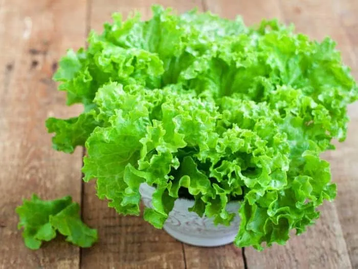 Top 7 Easiest Vegetables to Grow for a Beginner Lettuce