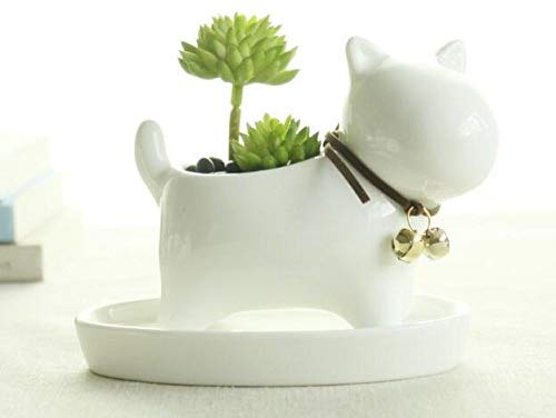 Youfui Cute Succulent Planter Animal Shaped F​​​​​lower Pot