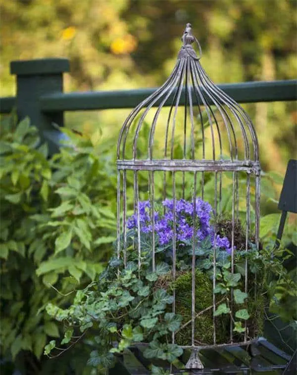 Birdcage planters 2 Birdcage planters - Best Hanging Planter Ideas