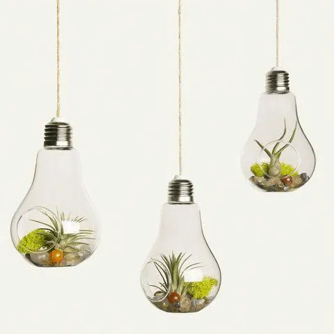 DIY Bulb planters - Best Hanging Planter Ideas