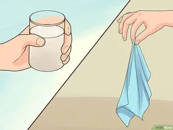 Damp Towel Hack - How to Deter Stink Bugs