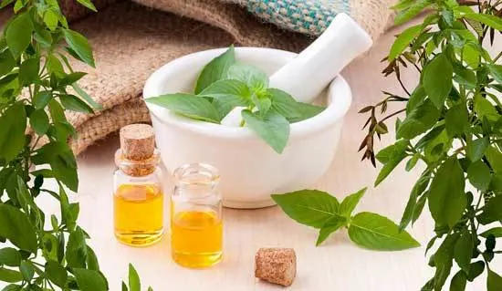 Essential-Oils Essential Oils - How to Deter Stink Bugs