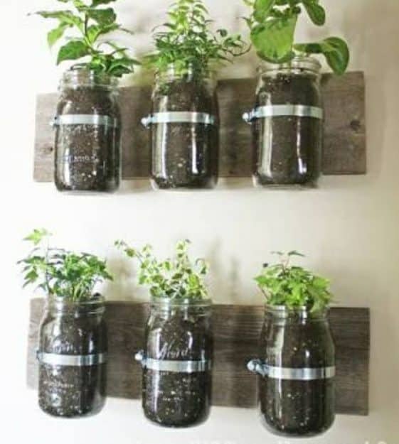 Glass jar planters - Best Hanging Planter Ideas