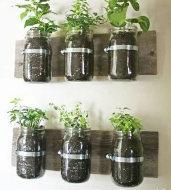 Glass jar planters Glass jar planters - Best Hanging Planter Ideas