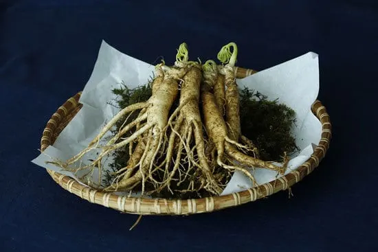 How Long Does It Take to Grow Ginseng