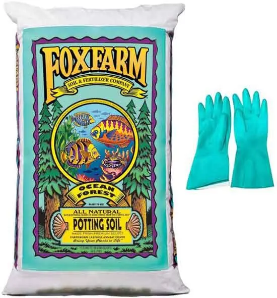 FoxFarm Ocean Forest Potting Soil Organic Mix Indoor Outdoor For Garden And Plants - Best Soil for Avocado Tree