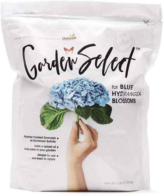 Garden Select for Blue Hydrangea Blossoms - Best Fertilizers For Gardenias