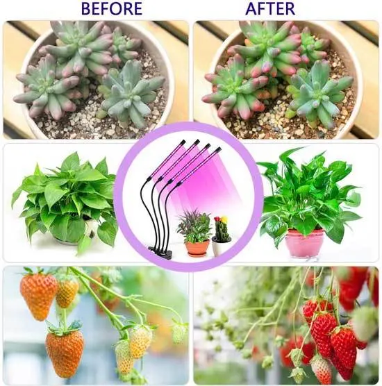 Grow Lights Plant Lights for Indoor Plants Semai 40W 80 LED Lamp Bulbs with 3 9 12H Timer 10 Dimmable 2 - Best Light for Growing Plants Indoors