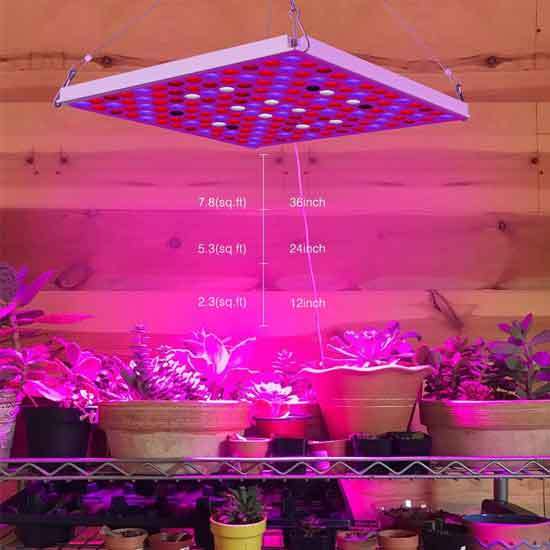 Roleadro LED Grow Light for Indoor Plants - Best Light for Growing Plants Indoors