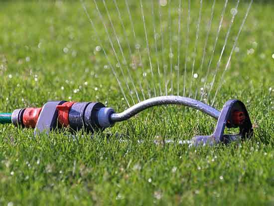 Water the Grass That You Want to Remove - How to Remove Grass with A Shovel