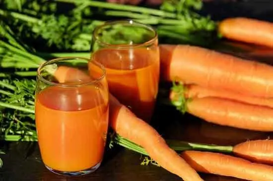 Carrot Juice - What Do Carrot Plants Look Like