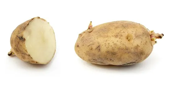 Why Russet Potatoes Going Bad Is A Serious Problem