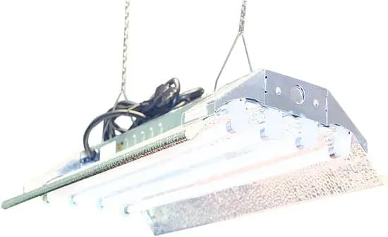DuroLux T5 Grow Light DuroLux T5 Grow Light - What Kind of Light Bulb for Indoor Plants