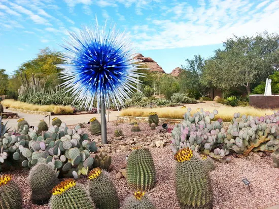 Gardening in Arizona