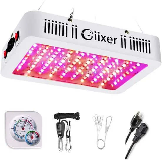 Giixer 1000W LED Grow Light - What Kind of Light Bulb for Indoor Plants