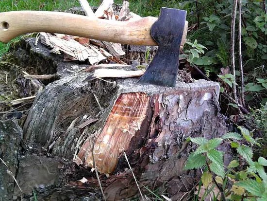 Manual Remove Tree Stumps - How To Remove a Tree Stump