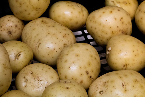 Rotten Potatoes Decompose - How to Store Potatoes From Garden