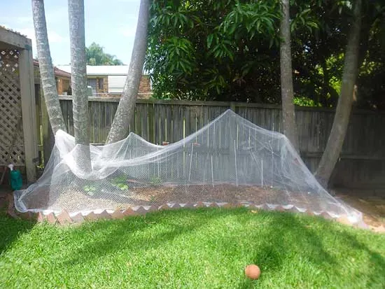 Ecover Bird Netting Garden - How To Keep Birds From Eating Grass Seed
