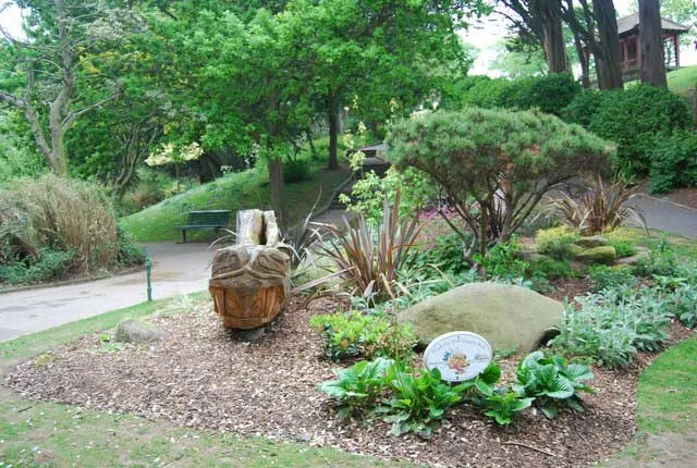 How To Keep Birds From Eating Grass Seeds Lay down mulch 2 How To Keep Birds From Eating Grass Seeds - Lay down mulch