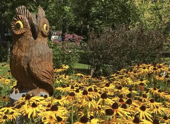How To Keep Birds From Eating Grass Seeds Wooden Owl 1 Install Decoy predators - How To Keep Birds From Eating Grass Seed