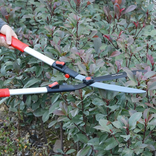 Best Hedge Shears For Your Garden FLORA GUARD 26 Inch Professional Extensible Hedge Shears 2