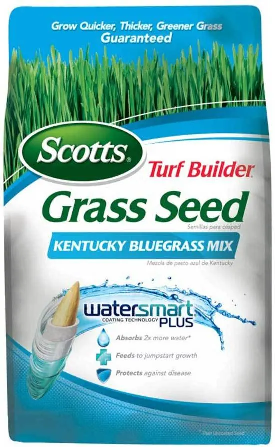 Best Kentucky Bluegrass Seeds - Scotts 18269 Turf Builder Grass Seed Kentucky Bluegrass Mix