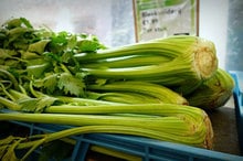 How Long Does Celery Last 2 How Long Does Celery Last 2