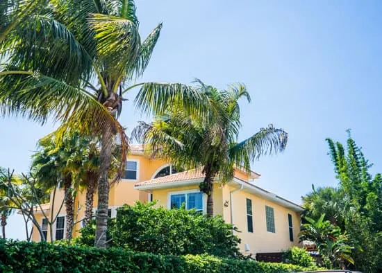 How to Kill A Palm Tree How to Kill A Palm Tree