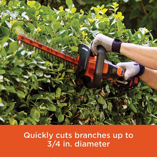 Best Hedge Trimmer Consumer Reports BLACK DECKER 20V MAX Cordless Hedge Trimmer 2 Best Hedge Trimmer Consumer Reports BLACK DECKER 20V MAX Cordless Hedge Trimmer 2