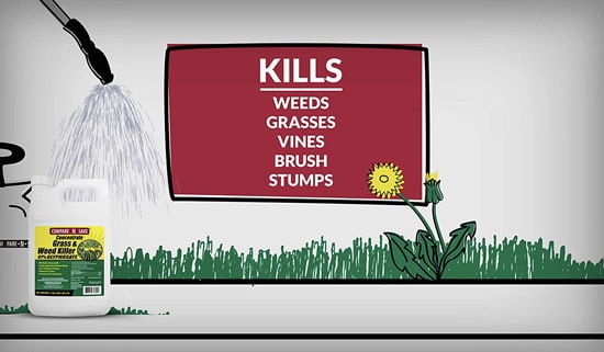 Grass Compare N Save Weed Killer - Best Weed Killer That Doesn't Kill Grass