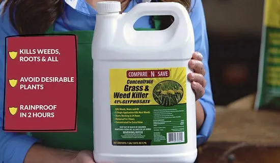 Best Weed Killer That Doesnt Kill Grass Compare N Save Weed Killer