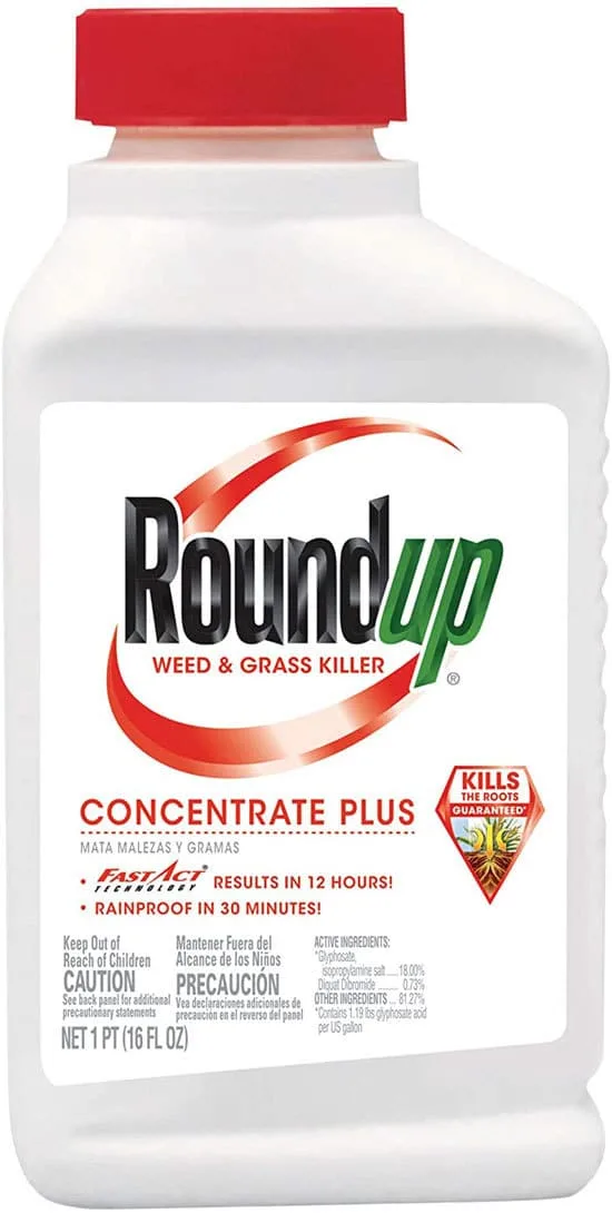 Best Weed Killer That Doesnt Kill Grass Roundup Weed Grass Killer Concentrate Plus