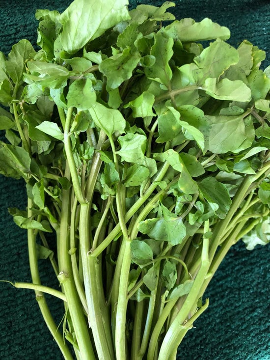 Cruciferous Vegetables Watercress Cruciferous Vegetables Watercress