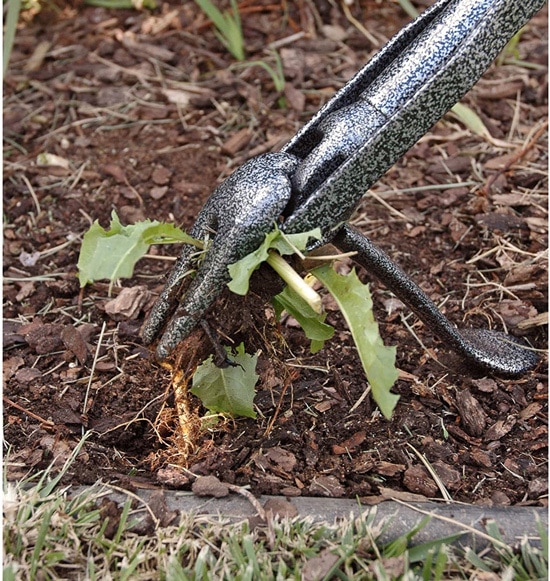 Best Grass Whip Yard Buttler Rocket 1000 2 Best Grass Whip Yard Buttler Rocket 1000 2